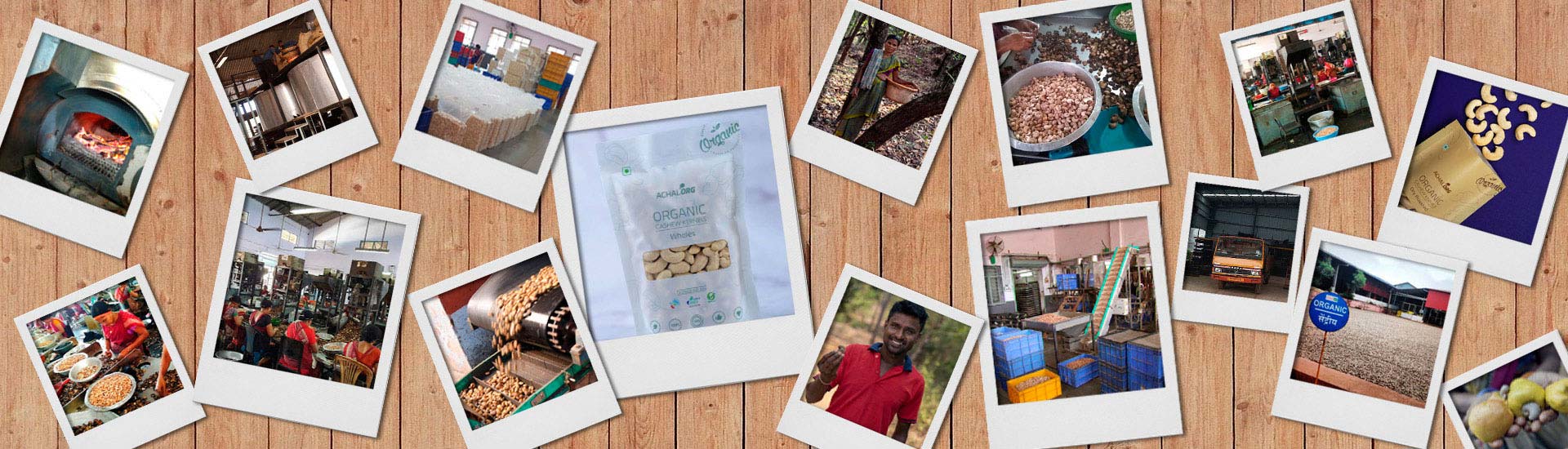 About Achal Cashew