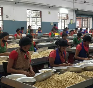 Cashew factory