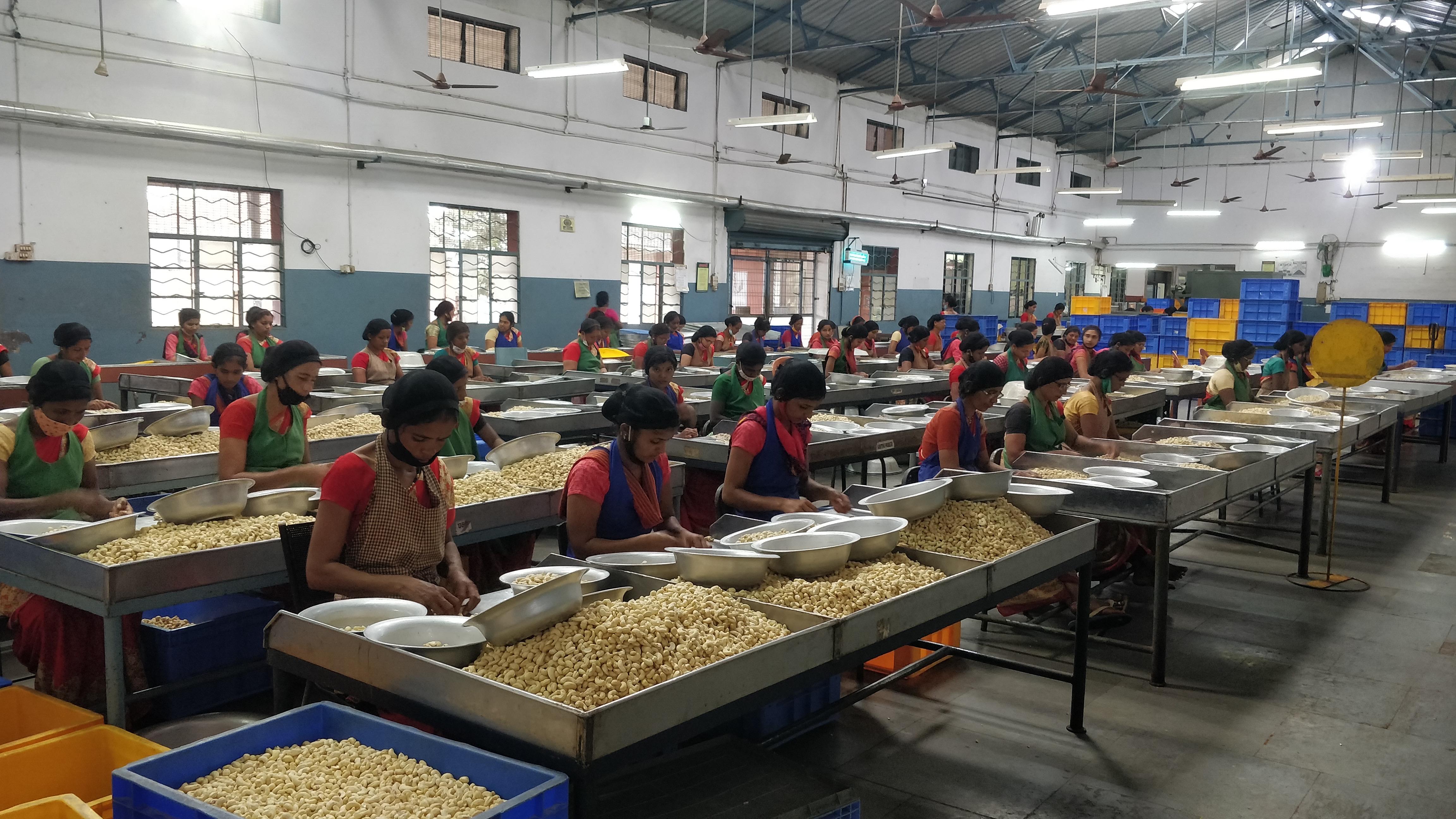 Achal Cashew grading