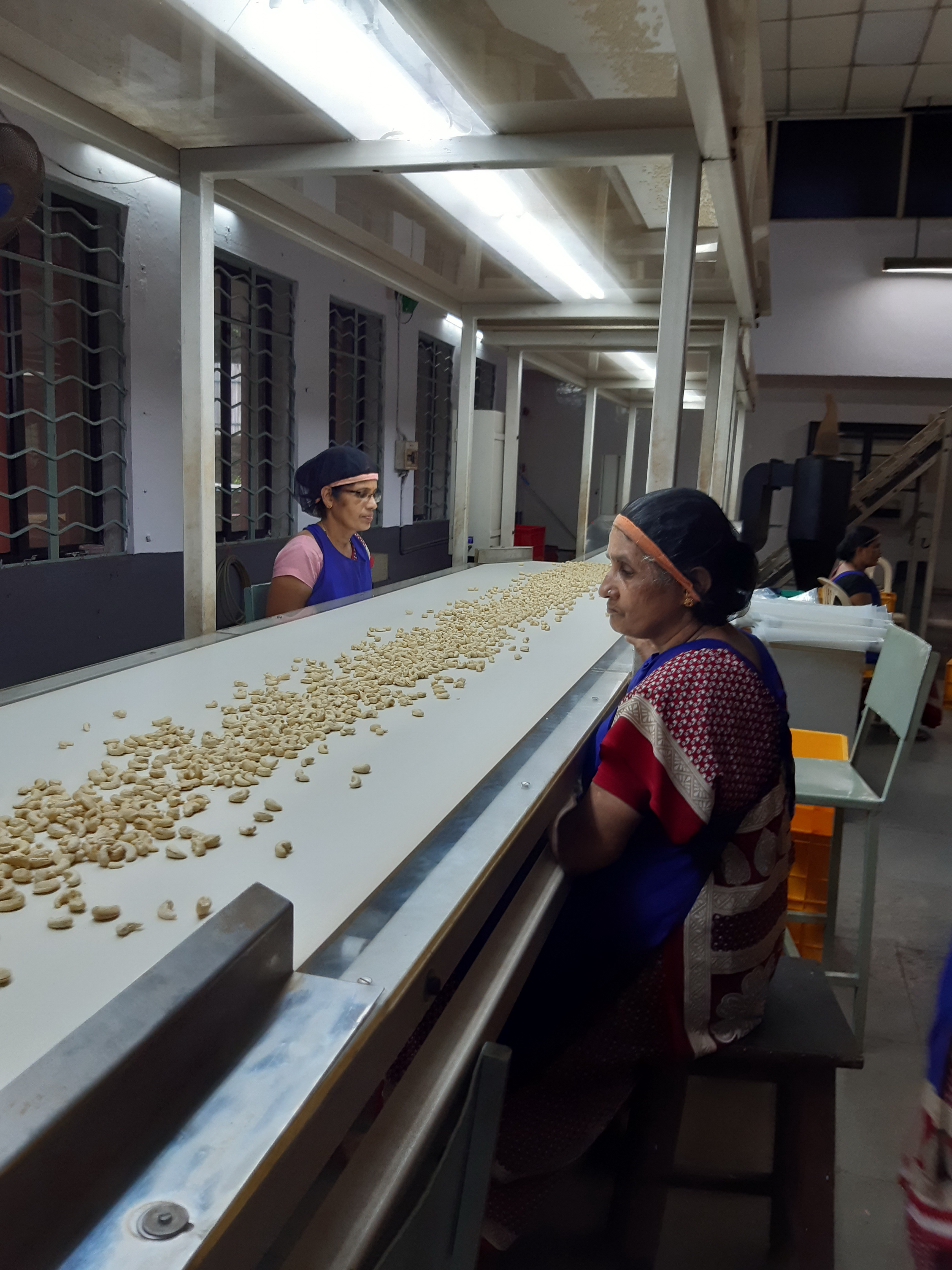Cashew kernel inspection, cashew processing